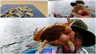 QUÁ TRỜI GHẸ MẶT TRĂNG (GHẸ 3 CHẤM) #crab #phuquoc