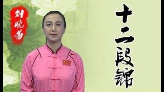 健身气功-十二段锦（刘晓蕾）