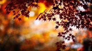 Passage Through Time - Piano Music by Greg Hulme