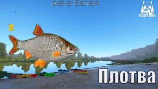 Трофейная Плотва. Закрытие водоёма. Река Белая. Русская рыбалка 4 | Russian Fishing 4