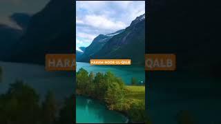 haram-noor-ul-qalb #islamicvideos #qurantilawat