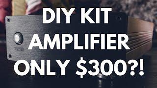 I Built a $3000 DIY Audiophile Amplifier for Only $300?!