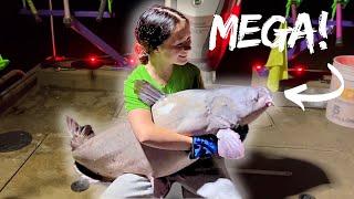 "YOUNG LADY" Catches MASSIVE River Blue Catfish (Can not Believe She Lifted that Fish UP!!)