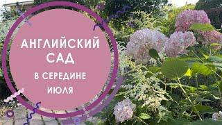 Редкие растения в саду / Дизайн сада в английском стиле / Июль 2023