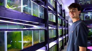 400+ Aquariums in this Shrimp Breeder's Home | In Depth Tour