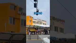 속초관광수산시장 먹거리 추천 #속초 #속초1박2일 #속초중앙시장 #속초핫플 #속초가볼만한곳 #누룽지오징어순대 #마카오박 #먹거리 #강원도