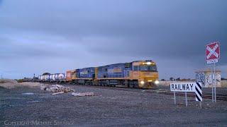 1MP2 Pacific National Steel Wagon & Container Train (8/9/2024) - PoathTV Australian Railways