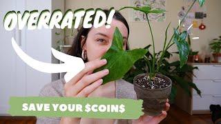 OVERRATED HOUSEPLANTS | popular houseplants i just don't vibe with :/