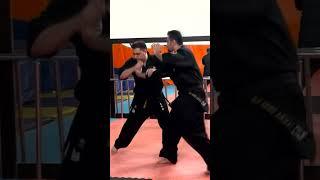 AKD Self Defense, AikiKarate Do Techniques Performing #shorts #short #shortvideo #shortsvideo