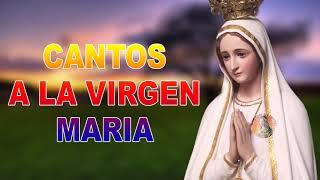 Hermosa cancion a nuestra Madre Santísima Las mejores te fortalecerá tu corazón alma y Espíritu