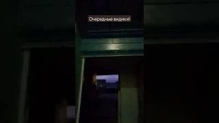 Очередные #рандом #видео на моем телефоне  #видеостелефона .