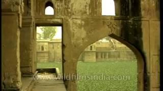 Tej Sagar, a 200 year old monument in Rewari, Haryana