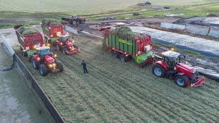 Massey Ferguson 7718S + 7719S + 7626 | Grass Silage by Fam. Bruggeman