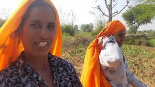 Gurjar culture from eastern Rajasthan | Bhairav baba yatra