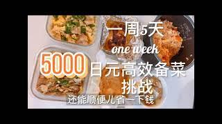 超实用｜日本上班族妈妈｜一周5000円超省钱高效备餐|日式便当