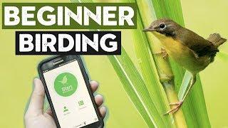 Things ALL Beginner Birders Should Do