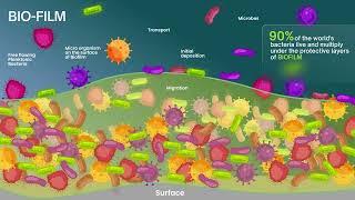 What is BIOFILM