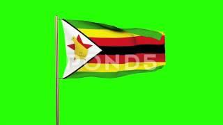 Zimbabwe Flag Waving In The Wind. Green Screen, Alpha Matte. Loopable Animation