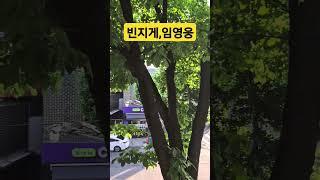 #빈지게 #원곡 남진 #임영웅 #영웅시대 #미스터트롯진