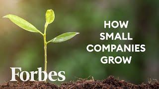 What Is Seed Investing And Why Is It Crucial For Growing Companies? | Defined | Forbes