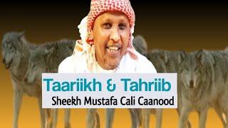 Taariikh & Tahriib | Sheekh Mustafa Cali Caanood  | Lamu & Muqdisho | Ku soo laabashadii Soomaaliya