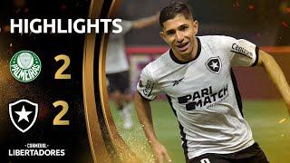 PALMEIRAS vs. BOTAFOGO | HIGHLIGHTS | CONMEBOL LIBERTADORES 2024