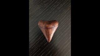 Making A Mahogany Shark Teeth