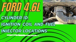 Ford 4.6L V-8 Cylinder Identification, Ignition Coil and Fuel injector Locations