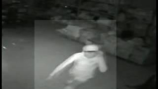 Imagem de ladrão no interior de loja, em Pedreiras - Blog do Carlinhos