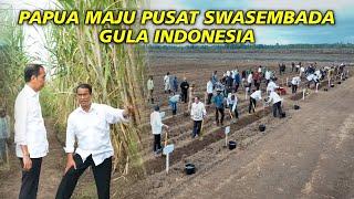 Disiapkan Bahlil Dicek Jokowi, 2 Juta Hektar di Papua Pusat Swasembada Gula, Biomassa, & Bioetanol!