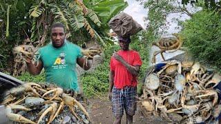 hunting some crab for a lovely subscriber and got bet by one