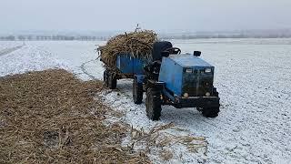 Хто що а ми працюєм. З новим роком та різдвом  Христовим