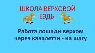 Работа лошади верхом через кавалетти на шагу