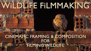 Cinematic Framing and Composition - 6 Techniques that will Improve your Wildlife Filming