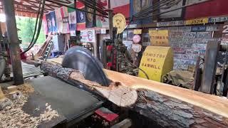 sawing two cherry logs from the firewood pile # 587