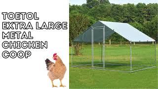 TOETOL Extra Large Metal Chicken Coop