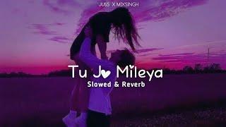 Tu Jo Mileya (Slowed + Reverb) : Juss X Mixsingh | New Punjabi Song 2024 | Jot Music