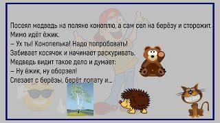 Запись В Школьном дневнике...Сборник Смешных Анекдотов, Для Хорошего Настроения!