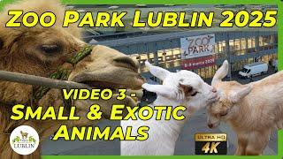 Zoo Park Lublin 2025 Part 3 small animals and everything else!  The most adorable goats!