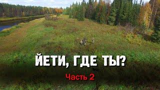 ЙЕТИ, ГДЕ ТЫ? Часть 2.