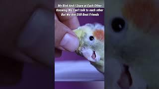 Still Best Friends ️ #bird #parrot