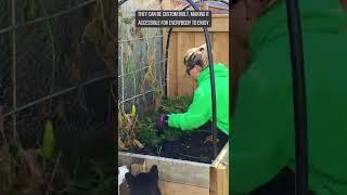  64 Carrots | #garden #grow #shorts #homemade #gardeningmakesmehappy