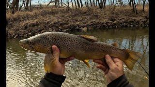 Wisconsin Trout Fishing - 3/22/2025