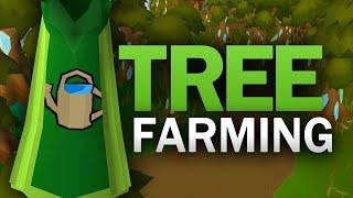 Complete Tree Farming Guide for OSRS