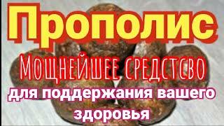 Прополис! Лечебные свойства. Поддержка вашего здоровья. Как самому приготовить настойку прополиса?