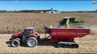 Harvesting, Rolling & Bagging High Moisture Corn near Versailles Ohio