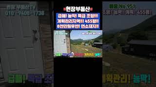 급매 고지대 조망 농막 주말농장 계획관리지역 455평 #주말농장 #급매 #농막 #조망 #사평리 #남한강