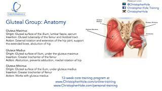 Core Muscles: Target these muscles during core strengthening exercises. EP #4