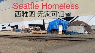 西雅图无家可归者Seattle Homeless ￼