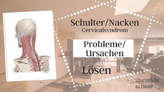 Schulter-Nacken-Beschwerden (Das Zervikalsyndrom) Ursachen und Übungen